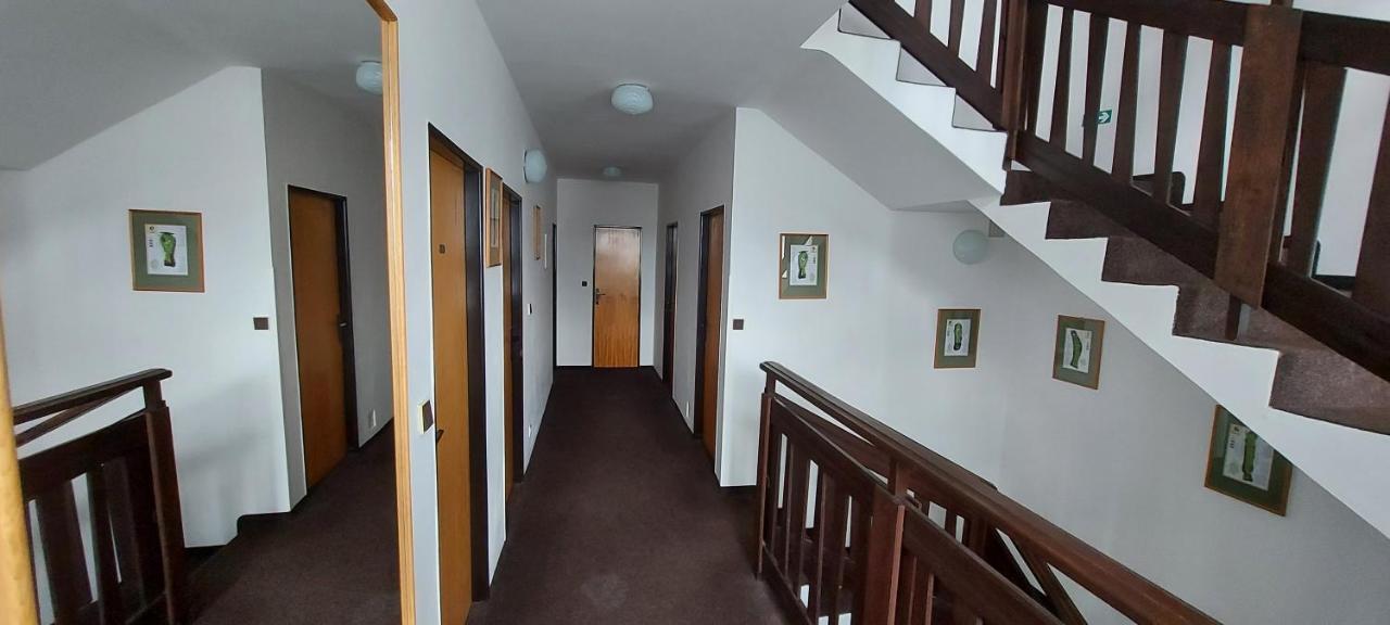 Hotel Speedway 3*